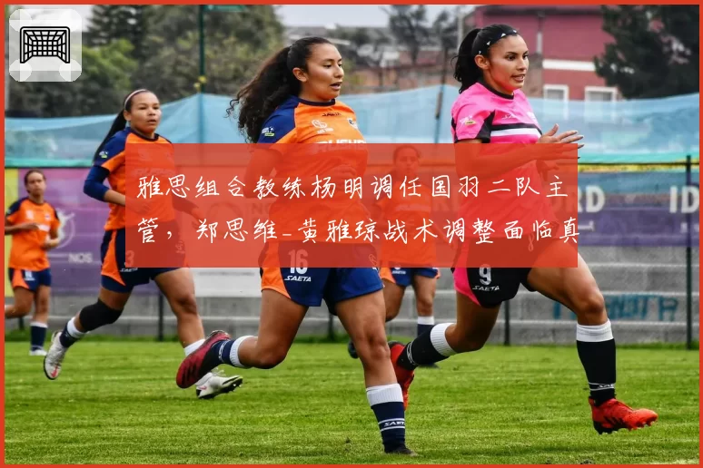 雅思组合教练杨明调任国羽二队主管，郑思维_黄雅琼战术调整面临真空期