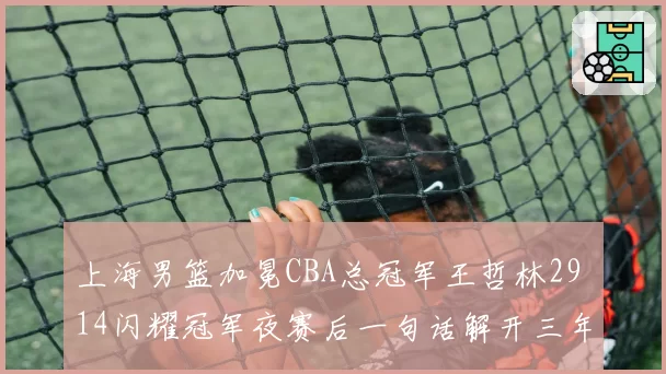上海男篮加冕CBA总冠军王哲林29 14闪耀冠军夜赛后一句话解开三年悬疑