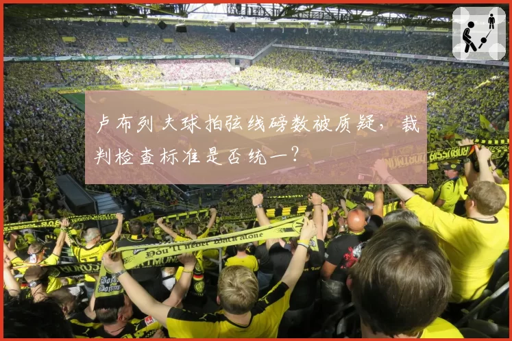 卢布列夫球拍弦线磅数被质疑，裁判检查标准是否统一？