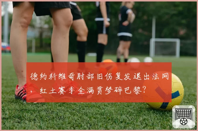 德约科维奇肘部旧伤复发退出法网，红土赛季全满贯梦碎巴黎？