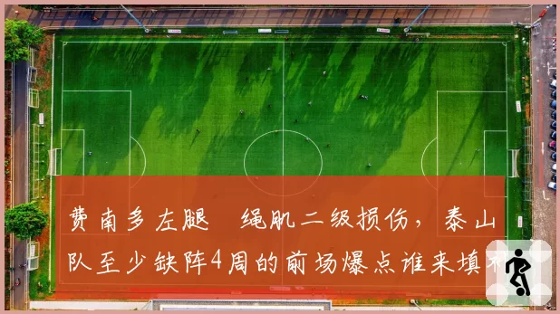 费南多左腿腘绳肌二级损伤，泰山队至少缺阵4周的前场爆点谁来填补？